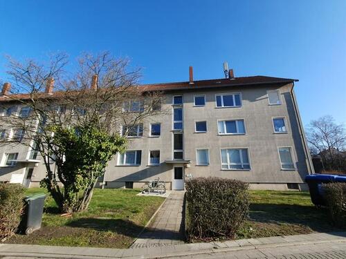 Foto - Alles frisch und neu, das ist toll!