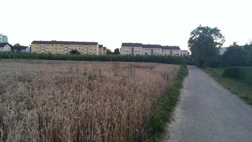 Foto - 3.5 Zimmer Erdgeschoßwohnung zum Kaufen in Leinfelden-Echterdingen