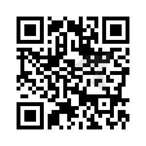 Foto - 2 Zimmer Etagenwohnung zur Miete in Zwickau