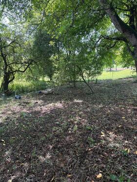 Foto - Garten Grundstück Obstbäume Schrebergarten Freizeitgrundstück
