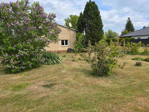 Foto - 4 Zimmer Einfamilienhaus zum Kaufen in Großharthau
