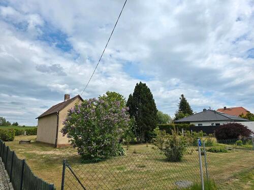 Foto - 4 Zimmer Einfamilienhaus in Großharthau