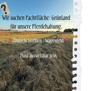 Foto - Pachtfläche, Grünland, Weideland
