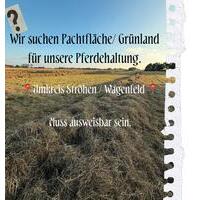 Pachtfläche, Grünland, Weideland - Wagenfeld