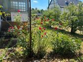 Foto - Einfamilienhaus in Osann-Monzel zum Kaufen