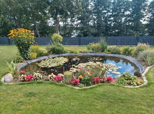 Foto - 3 Zimmer Erdgeschoßwohnung zur Miete in Sternberg