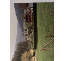 Sonniges Baugrundstück ohne Bauzwang, ruhige Lage 1000m2 - Bessenbach