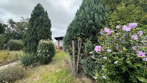 Foto - Kleingarten mit Laube & Grundstück – KGV Volkswohl e.V.