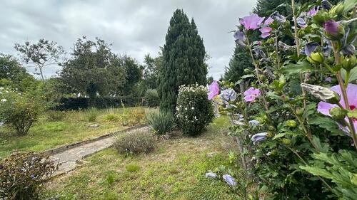 Foto - Grundst&uuml;ck in Belgern-Schildau