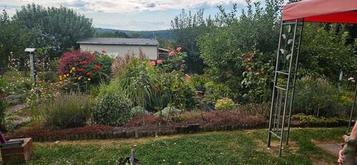 Foto - Grundst&uuml;ck in Kraftsdorf