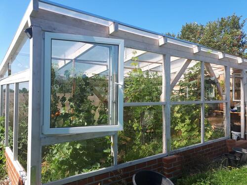 Foto - Doppelhaushälfte in Letschin