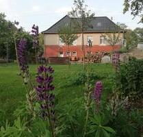 50% Immobilie - 99.999,00 EUR Kaufpreis, in Löwenberger Land (PLZ: 16775)