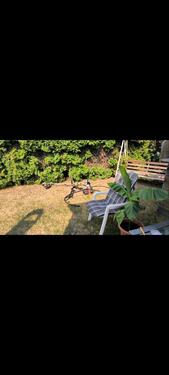 Foto - Grundstück zur Miete in Oschersleben (Bode)