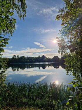 Foto - Einfamilienhaus in Goslar zur Miete