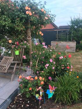 Foto - andere in Benz zur Miete