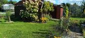 Foto - sonniger Kleingarten mit schöner Laube