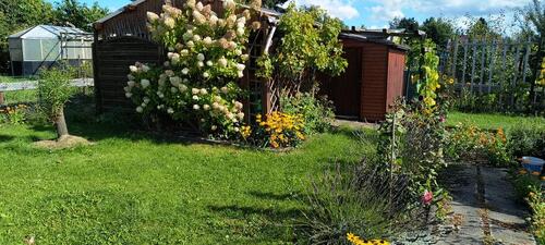 Foto - sonniger Kleingarten mit schöner Laube