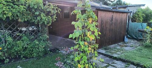 Foto - Grundstück in Ebersbach-Neugersdorf