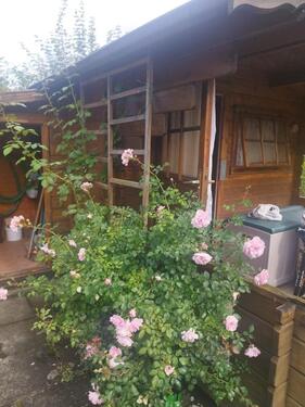 Foto - Kleingarten 315 qm Nähe Nordbad