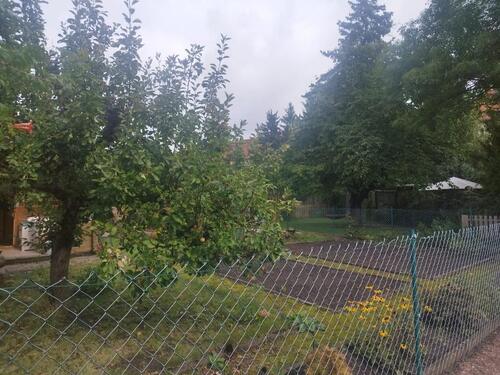 Foto - Grundstück in Halle (Saale)