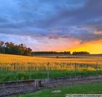 Den Morgenespresso genießen auf Ihren überdachten Balkon mit Blick auf Felder und Wiesen - Reichertshofen