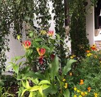 Glückwunsch - Bonus Dreiseitenhof - Seiffen/Erzgebirge