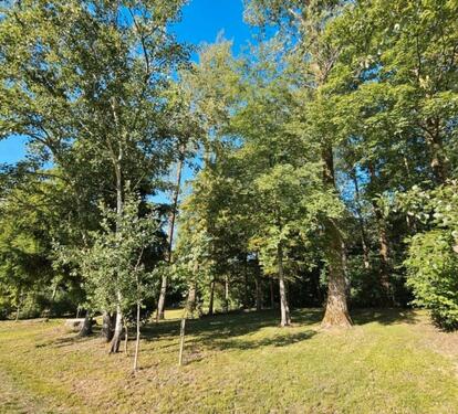 Foto - Grundst&uuml;ck in Hallbergmoos zur Miete