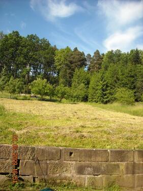 Foto - Verpachtung Wiese, Freizeitstückle in FichtenbergSHA