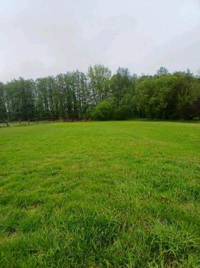 Foto - Einfamilienhaus in Rosenow zum Kaufen