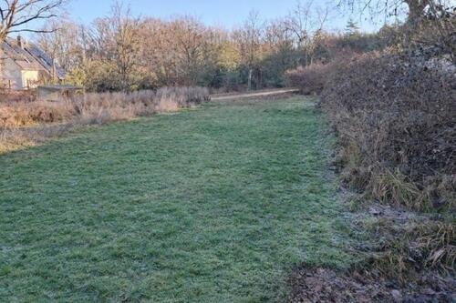 Foto - 4 Zimmer Einfamilienhaus in Ebersbach