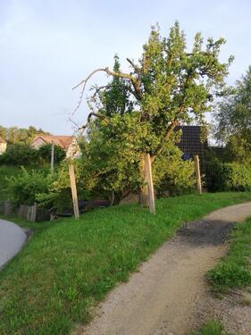 Foto - 4 Zimmer Einfamilienhaus zum Kaufen in Reichenbach/Oberlausitz