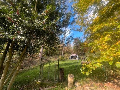 Foto - Garten von privat in Ennepetal Voerde zu verpachten, kein Verein