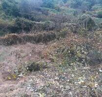 Gartengrundstück in Hemsbach zu verpachten - Weinheim