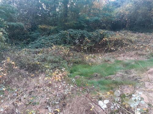 Foto - Grundstück zur Miete in Weinheim