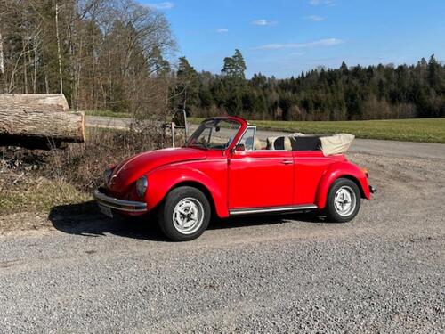 Foto - Winterstellplatz für Oldtimer in Halle