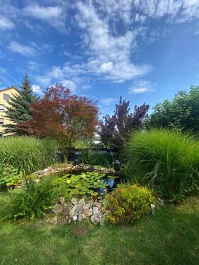 Foto - Einfamilienhaus in Seegebiet Mansfelder Land zum Kaufen