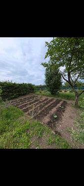 Foto - Grundstück in Erfurt zur Miete