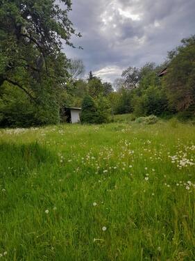 Foto - Bauernhaus, Landhaus in Rudolstadt zum Kaufen