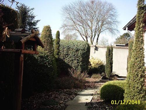 Foto - Einfamilienhaus in Bad Zwischenahn zum Kaufen