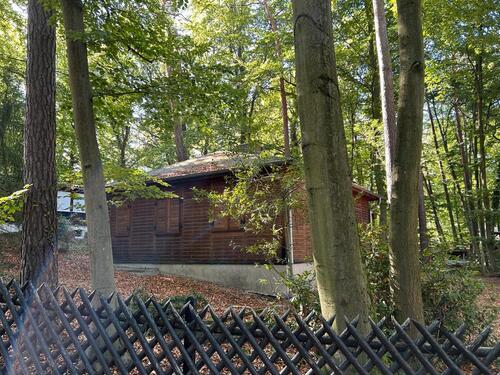 Foto - Idyllischer Bungalow, Ferch, Schwielowsee (Erbbaurecht, 60Jahre)