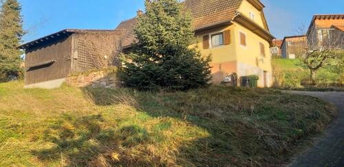 Foto - Freistehendes Einfamilienhaus mit großem Grundstück Friesenheim
