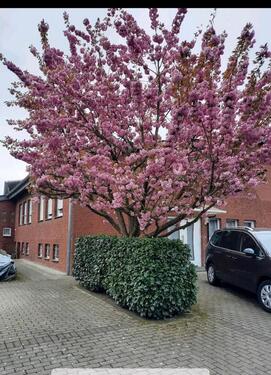 Foto - 4-Zimmer-WG mit Garten und PKW Stellplätzen in Westbevern Vadrup