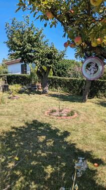 Foto - Grundst&uuml;ck zur Miete in Dingelstädt