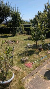 Foto - Grundst&uuml;ck in Dingelstädt