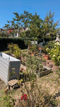 Foto - Grundst&uuml;ck in Dingelstädt zur Miete