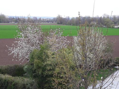 Foto - 9 Zimmer Einfamilienhaus in Röthlein