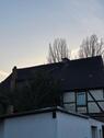Foto - Mehrfamilienhaus, Wohnhaus in Stadtoldendorf zum Kaufen