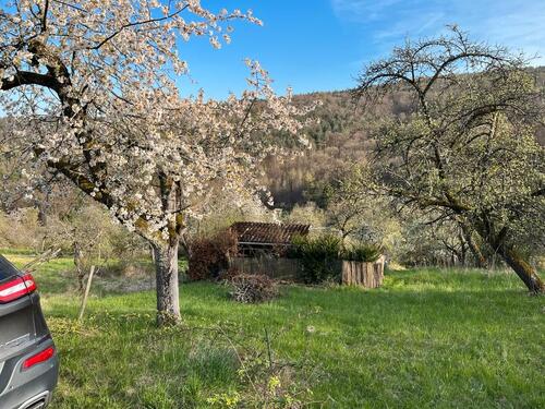 Foto - Garten im Geradstetten - 700,00&nbsp;EUR Kaltmiete, ca.&nbsp; 0,00&nbsp;m&sup2;