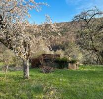 Garten im Geradstetten - 700,00&nbsp;EUR Kaltmiete, ca.&nbsp; 0,00&nbsp;m&sup2; in Esslingen am Neckar (PLZ: 73732) Hegensberg