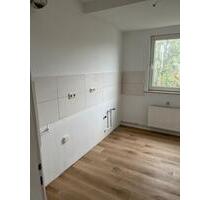 Lichtdurchflutete 3 Zimmer Wohnung in Helmstedt